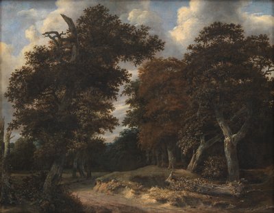 オークの森を通る道 作： Jacob van Ruisdael