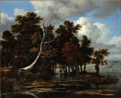 "Chenes sur les berges d
