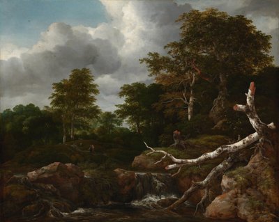 森の情景、1655年頃（キャンバスに油彩） 作： Jacob van Ruisdael