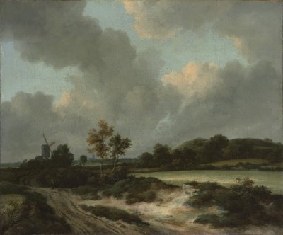 グレインフィールズ、1660年頃（キャンバスに油彩） 作： Jacob van Ruisdael
