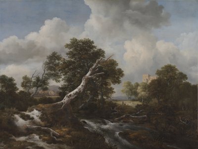死んだブナの木が生い茂る森の中の低い滝c。 1660-70 作： Jacob van Ruisdael