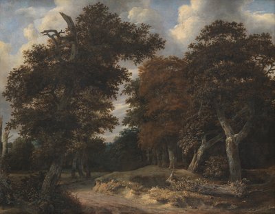 オークの森を抜ける道 作： Jacob van Ruisdael
