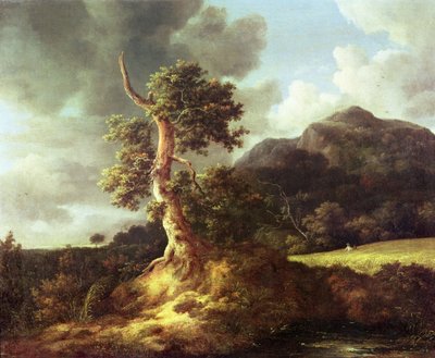 不明な画像 作： Jacob van Ruisdael