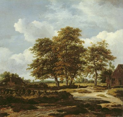 とうもろこし畑のある森の風景 1655-60年頃 油彩・カンヴァス 作： Jacob Isaaksz. or Isaacksz. van Ruisdael