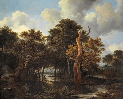 枯れ木がある木湿地の風景、1665年頃 作： Jacob van Ruisdael