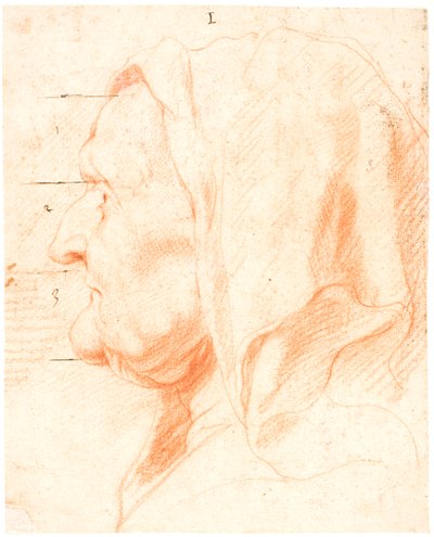 左の横顔の老婆の頭 作： Jacob Jordaens