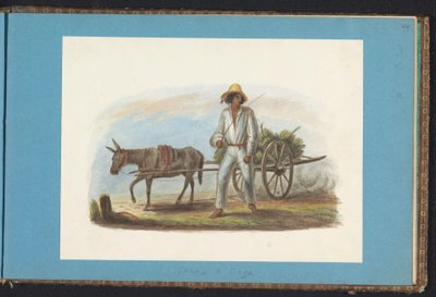 バナナとカートを持つ男 スリナムを描いたアルバム、p.44 (50) (連載タイトル) 作： Jacob Marius Adriaan Martini van Geffen