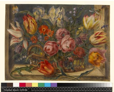 花の研究：バスケットに詰められた花、窓の設定に昆虫とトカゲ、1634 作： Jacob Marrel