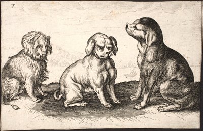 小型犬三匹 作： Jacob Matham