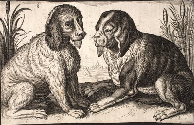 湖畔の 2 匹の犬 作： Jacob Matham