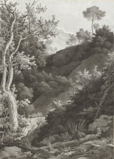 樹木が茂った山腹 作： Jacob Philipp Hackert