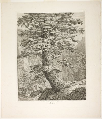 モミの木 作： Jacob Philipp Hackert