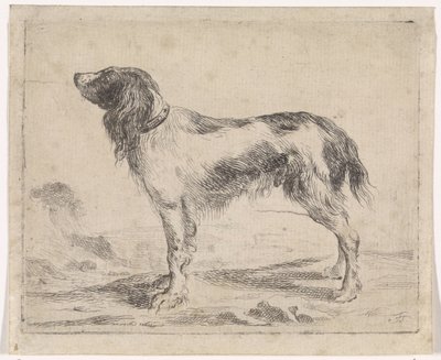 立ち犬 犬（シリーズタイトル） 作： Jacob Toorenvliet