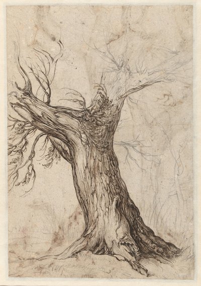 その周りにいくつかの木がある栗の木 作： Jacob de Gheyn (II)