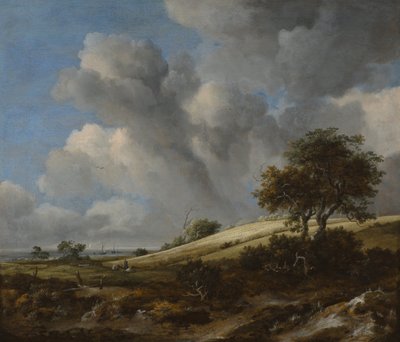 ザイダージーを背景にしたトウモロコシ畑c。 1660 作： Jacob van Ruisdael