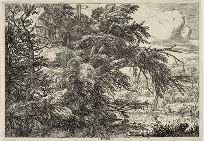 丘の上にあるコテージ 作： Jacob van Ruisdael
