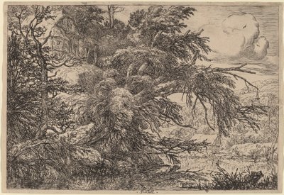 丘の上のコテージ 作： Jacob van Ruisdael