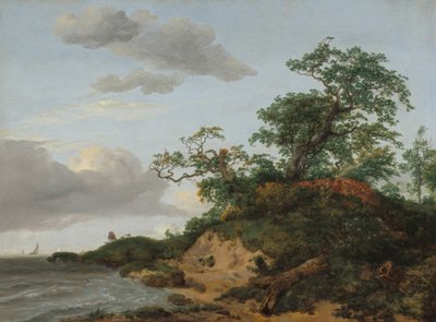 海辺の砂丘」1648年 作： Jacob van Ruisdael