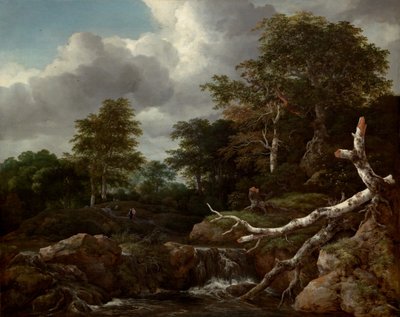 森の情景、c. 1655年。 作： Jacob van Ruisdael