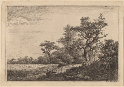 森の端の穀物畑（トウモロコシ畑） 作： Jacob van Ruisdael