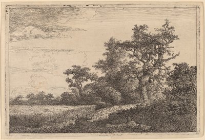 森の端の穀物畑（トウモロコシ畑） 作： Jacob van Ruisdael