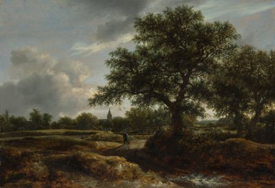 遠くに村のある風景、1646年。 作： Jacob van Ruisdael