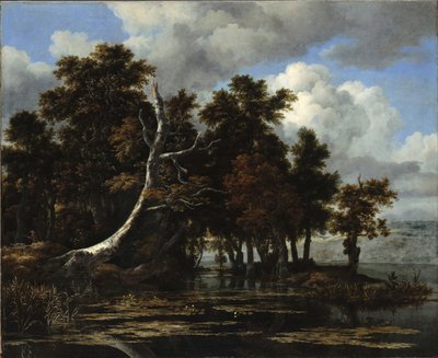 睡蓮と湖のオーク 作： Jacob van Ruisdael