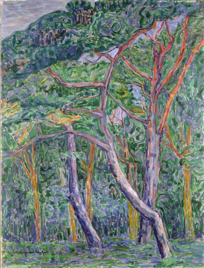 松の木 作： Jacoba van Heemskerck