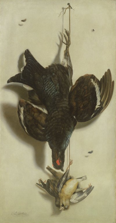 黒ライチョウとフィンチのトロンプルーイル 作： Jacobus Biltius
