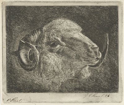 角を後ろに向けた雄羊の頭 作： Jacobus Cornelis Gaal (signed by artist)