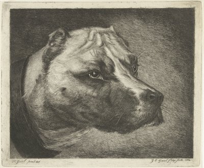 首輪付き犬の頭 作： Jacobus Cornelis Gaal