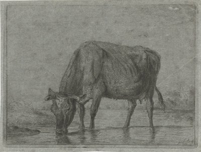 水たまりから水を飲む牛 作： Jacobus Cornelis Gaal
