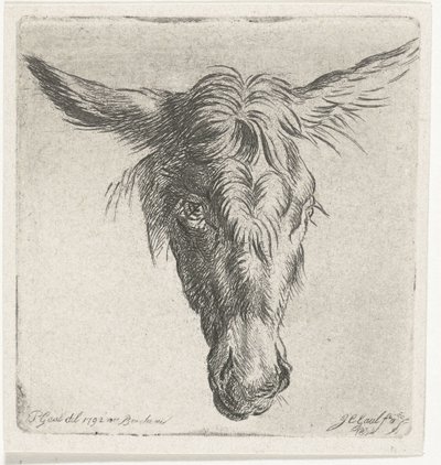 ロバの頭 作： Jacobus Cornelis Gaal