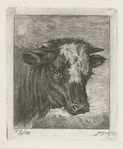白いタートルネックの牛の頭 作： Jacobus Cornelis Gaal
