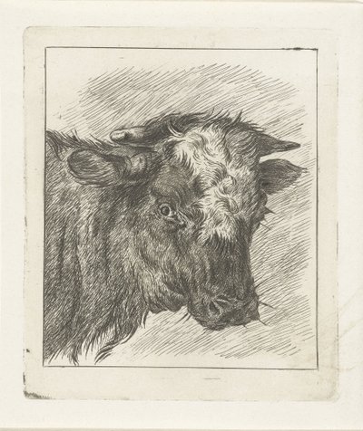 白いタートルネックの牛の頭 作： Jacobus Cornelis Gaal
