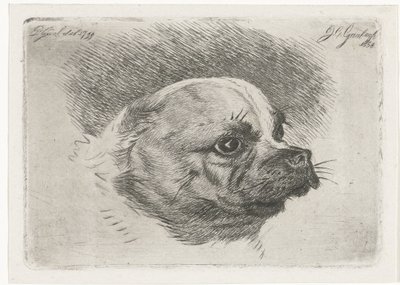 パグヘッド 作： Jacobus Cornelis Gaal