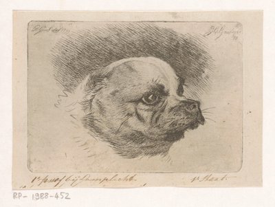 パグヘッド 作： Jacobus Cornelis Gaal