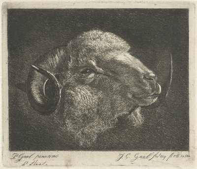 角を後ろに向けた雄羊の頭 作： Jacobus Cornelis Gaal