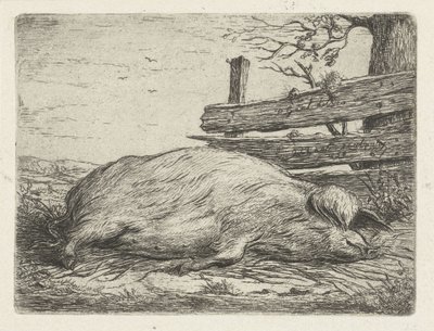 横たわるイノシシ 作： Jacobus Cornelis Gaal