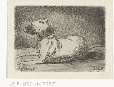 首輪をつけて横たわる犬 作： Jacobus Cornelis Gaal