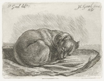 毛布の上に横たわって眠っている犬 作： Jacobus Cornelis Gaal
