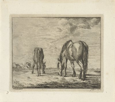 2 頭の放牧馬 作： Jacobus Cornelis Gaal