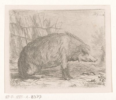 座っているイノシシ 作： Jacobus Cornelis Gaal