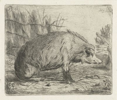 座っているイノシシ 作： Jacobus Cornelis Gaal