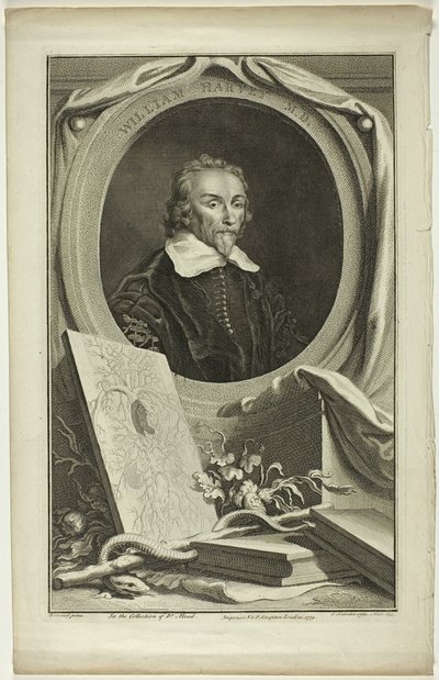 ウィリアム・ハーヴェイ医学博士 作： Jacobus Houbraken