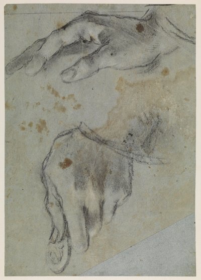 手の研究、直訳、16世紀 作： Jacopo Bassano