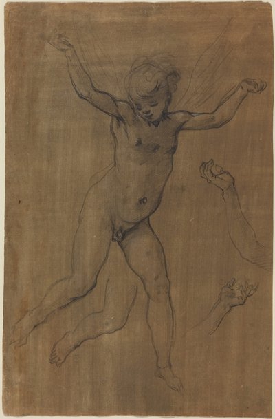 作： Jacopo Chimenti Empoli