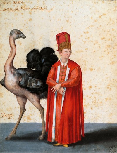 Jacopo Ligozzi (1547-1627) が描いたダチョウと奴隷 作： Jacopo Ligozzi