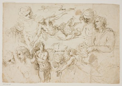 図研究シート 作： Jacopo Palma