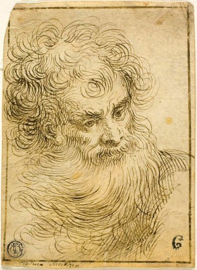 あごひげを生やした老人の頭（直腸）。 花と葉の装飾的なスケッチ (裏面) 作： Jacopo Palma il Giovane